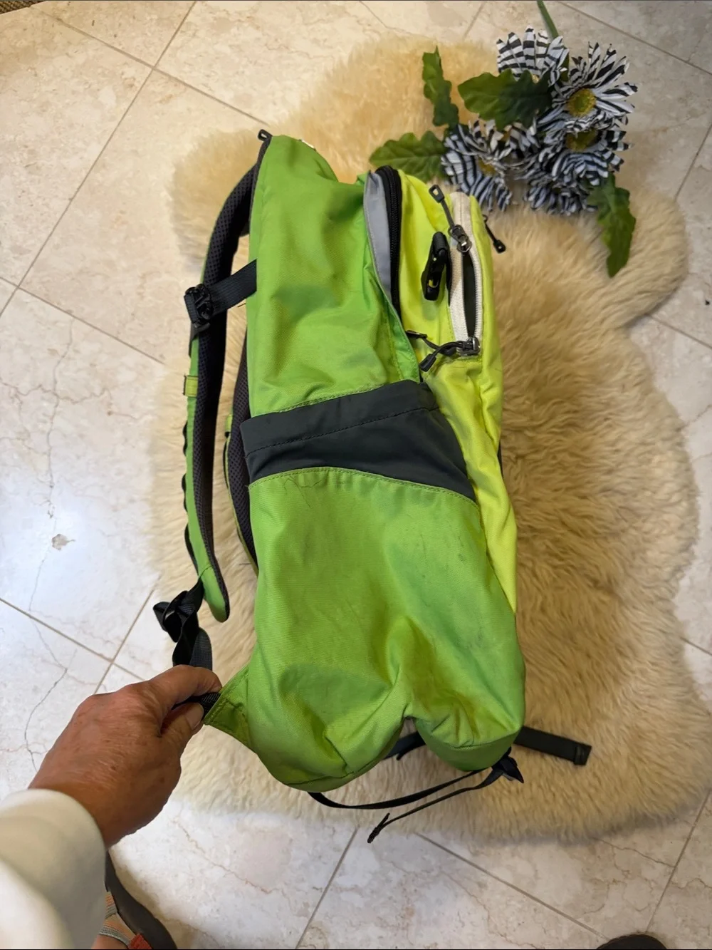 Patagonia Lime Green  Outdoor Daypack